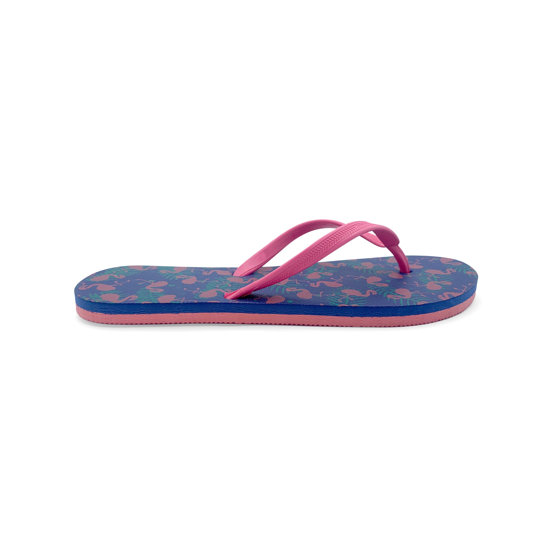 Flamingos 2, Diseño original, vista lateral