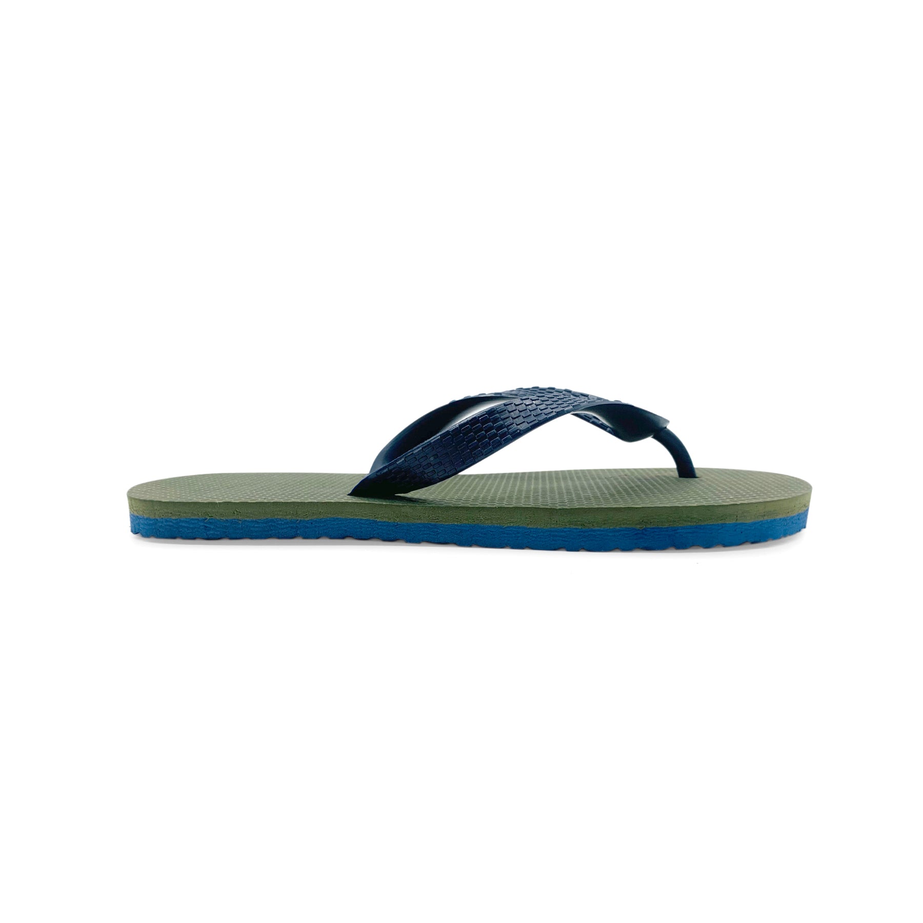 Olivo Marino, Diseño original, vista lateral